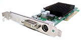 Genuine Dell Nvidia GeForce 4 64MB P117 DVI/TV Out 64MB MX 440 4x, 8x AGP High Profile Video Graphics Card Compatible Part Numbers: G0169, G0770 Reviews